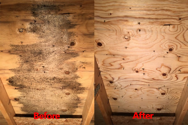Illustrative before-and-after view of moisture-affected materials and a remediated space